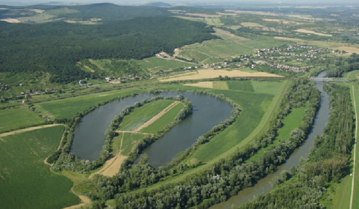 Obec Viničky