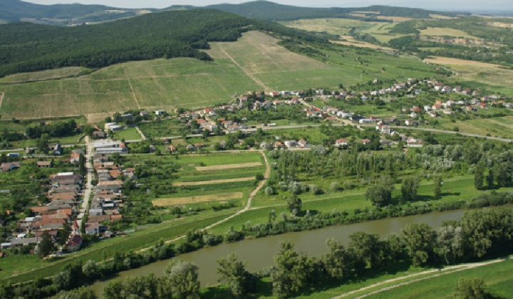 Obec Viničky